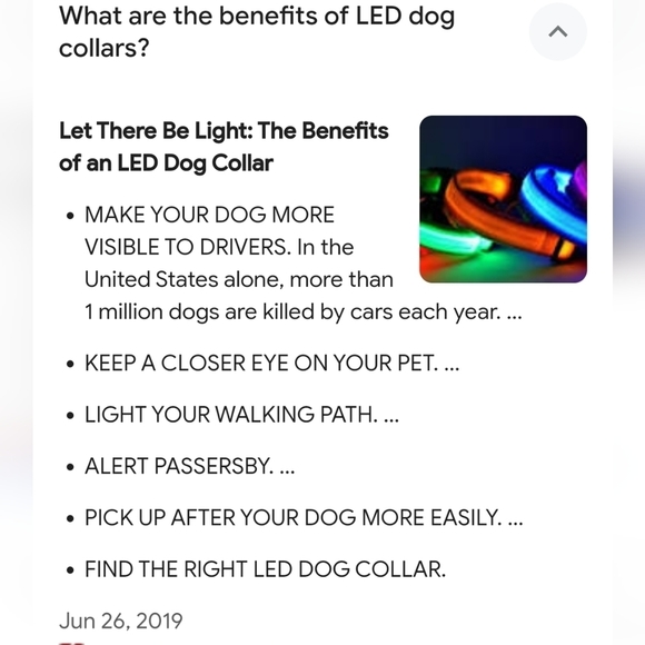 Glow pets  USB rechargeable led light dog collor - Picture 2 of 7